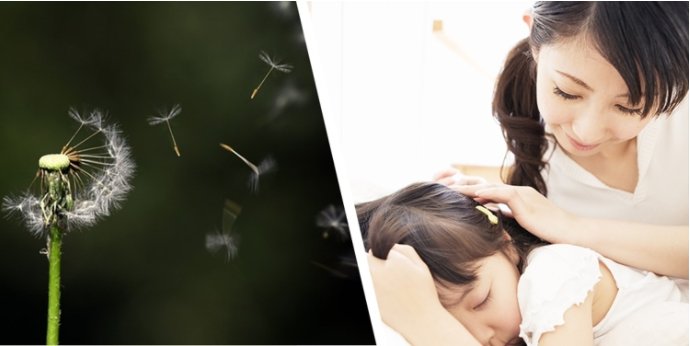 242net必赢(BWIN)官方网站-Official Website